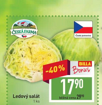 Salát ledový Česká farma