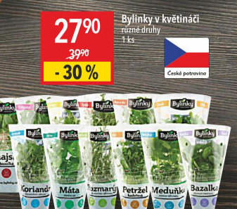 Bylinky v květináči Bylinky s.r.o.