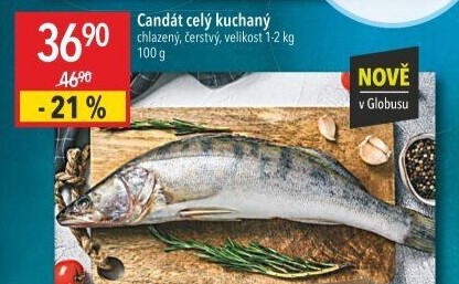 Candát obecný kuchaný