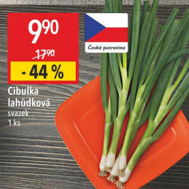Jarní cibule svazek