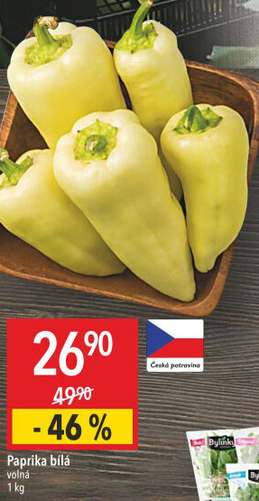 Paprika bílá