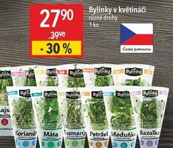 Bylinky v květináči Bylinky s.r.o.