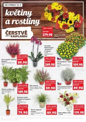 akční leták Kaufland 13.9.2023-19.9.2023