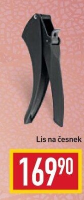 Lis na česnek