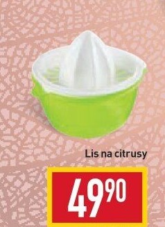 Lis na citrusy