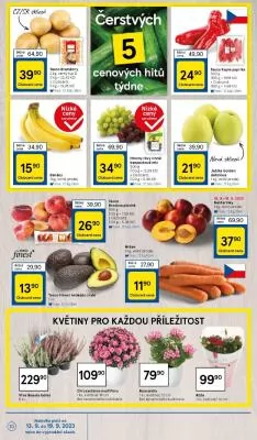 akční leták Tesco 13.9.2023-19.9.2023