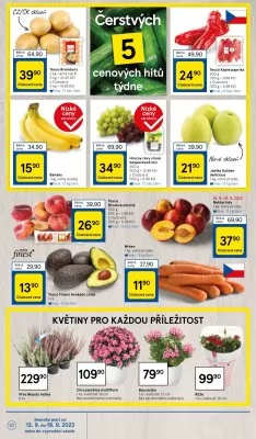 akční leták Tesco 13.9.2023-19.9.2023