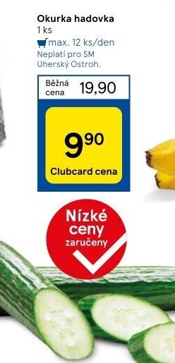 Okurka hadovka