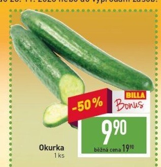 Okurka hadovka