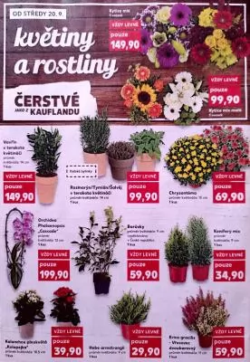 akční leták Kaufland 20.9.2023-26.9.2023