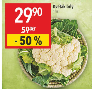 Květák