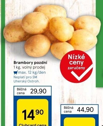 Brambory konzumní pozdní