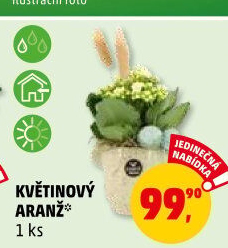 Květinové aranžmá