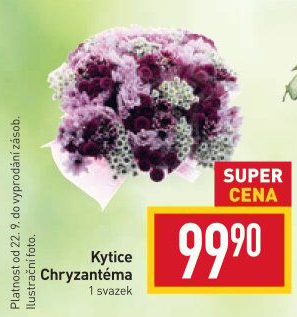 Řezané Chryzantémy