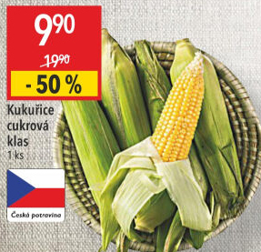 Kukuřice klas