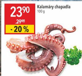 Kalamáry chapadla