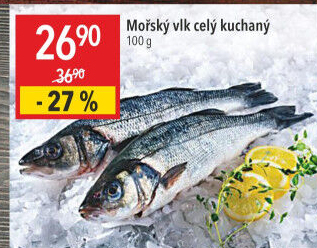 Vlk mořský kuchaný
