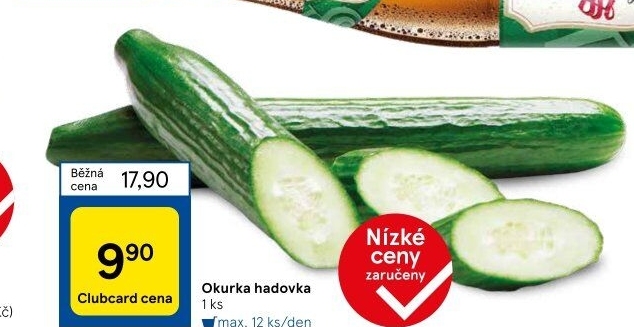 Okurka hadovka
