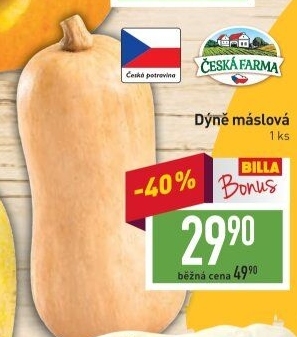 Dýně máslová Česká farma