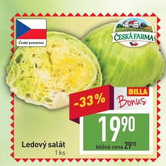 Salát ledový Česká farma