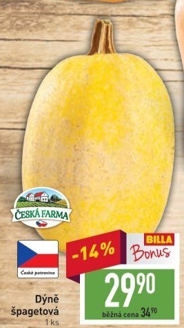 Špagetová dýně Česká farma