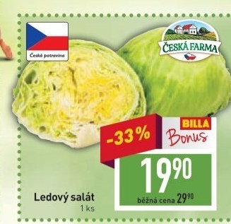 Salát ledový Česká farma