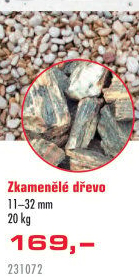 Zkamenělé dřevo