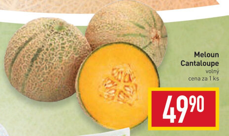 Meloun Cantaloupe