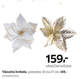 VÁNOČNÍ HVĚZDA
