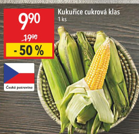 Kukuřice klas