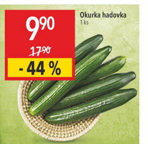 Okurka hadovka