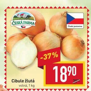 Cibule žlutá Česká Farma