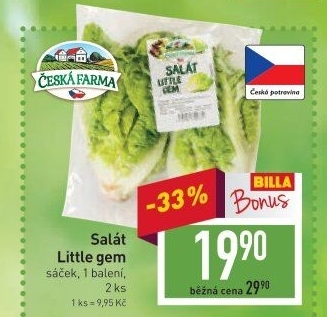 Salát little gem Česká farma