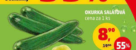 Okurka hadovka