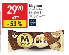 Nanuk Magnum Algida