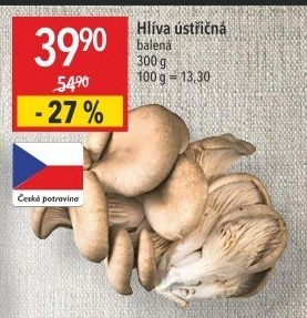 Hlíva ústřičná