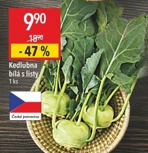 Kedlubna bílá