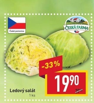 Salát ledový Česká farma
