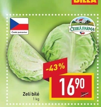 Zelí hlávkové bílé Česká farma