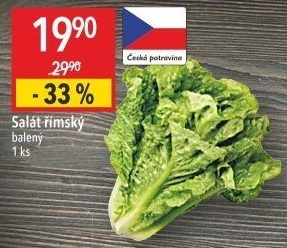 Salát římský