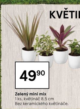 Mix zelených rostlin