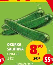 Okurka hadovka
