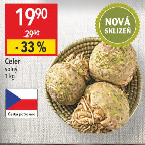 Celer bulva