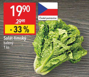 Salát římský