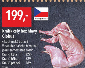 Králík Globus