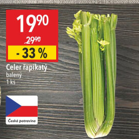 Celer řapíkatý