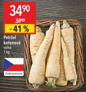 Petržel