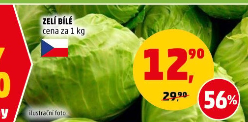 Zelí hlávkové bílé