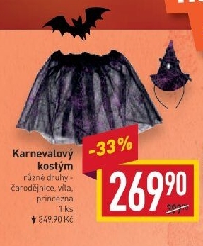 Karnevalový kostým