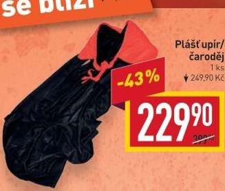 Karnevalový kostým